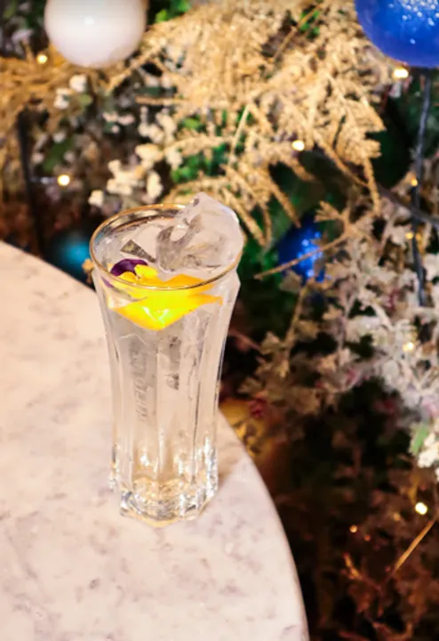   ST~GERMAIN® IS PUTTING THE SPARK IN SPARKLING CELEBRATIONS WITH NEW WINTER GARDEN AT RABBLE IN EDINBURGH