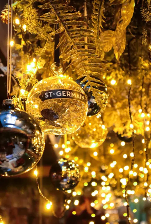   ST~GERMAIN® IS PUTTING THE SPARK IN SPARKLING CELEBRATIONS WITH NEW WINTER GARDEN AT RABBLE IN EDINBURGH