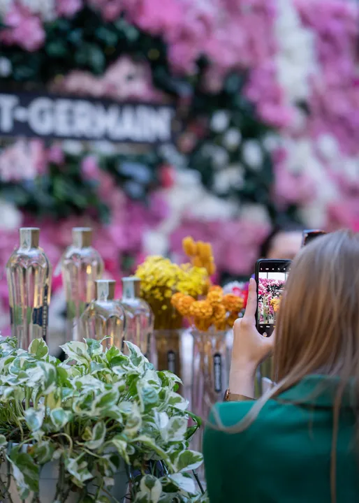 Vanity Fair Social Garden