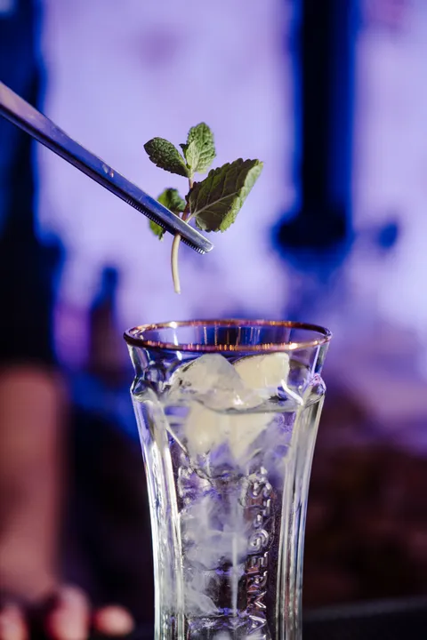  ST-GERMAIN È L’APERITIVO UFFICIALE DI “TRAME DI LUCE”